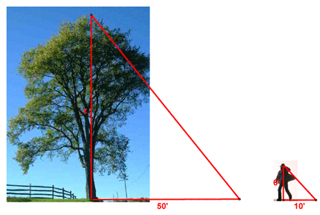 Shadow Problem Solution